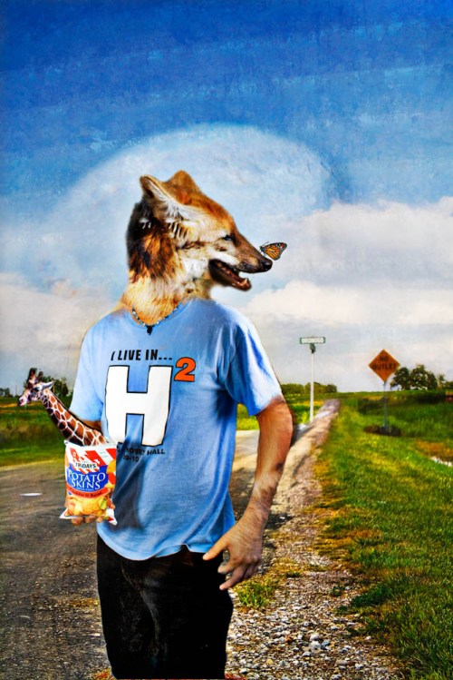 Stephanie Bibb Creative Photography - Animal People