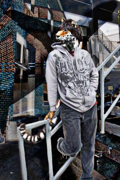 Stephanie Bibb Creative Photography - Animal People