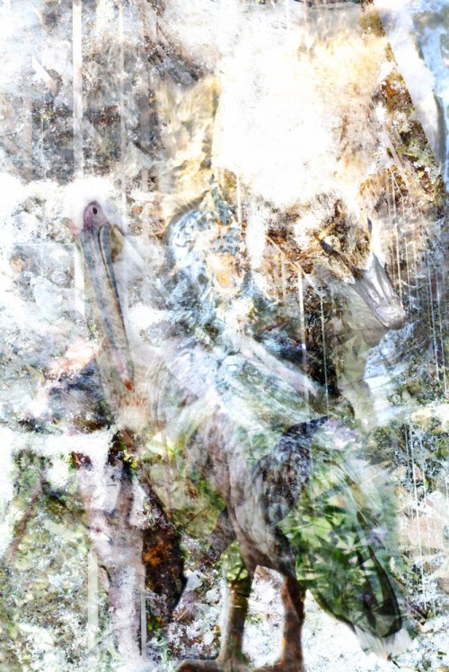 Creative Photography Assignment 4 - Stephanie Bibb