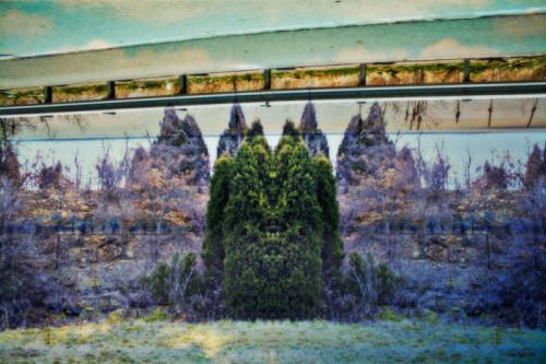 Stephanie Bibb - Creative Photography