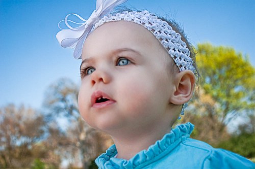 Family Portraits - Stephanie Bibb