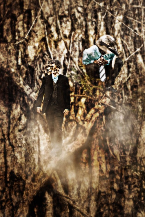 Creative Photography - Stephanie Bibb