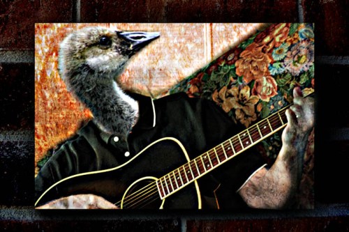 Another Day - Stephanie Bibb