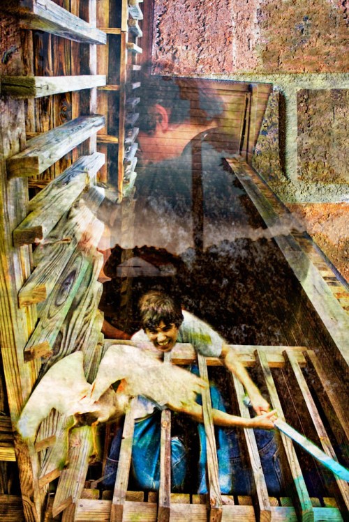 Creative Photography - Stephanie Bibb