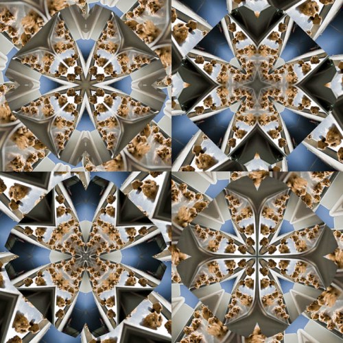 Advanced Digital Imaging - Stephanie Bibb