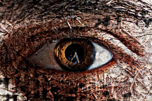 Advanced Digital Imaging - Stephanie Bibb