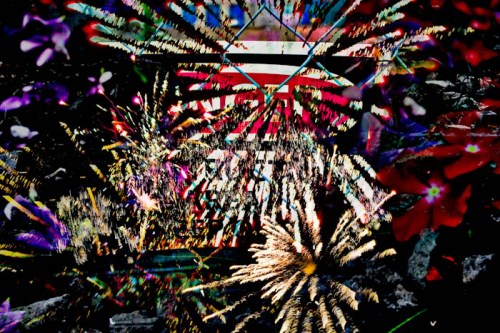 Creative Photography - Stephanie Bibb