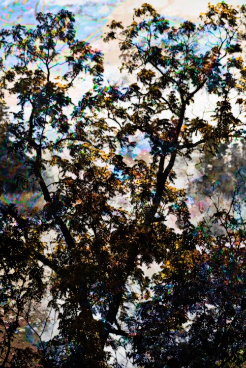 Creative Photography - Stephanie Bibb