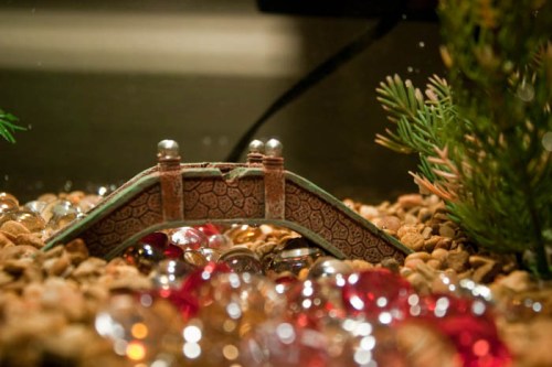 Fish Tank - Stephanie Bibb