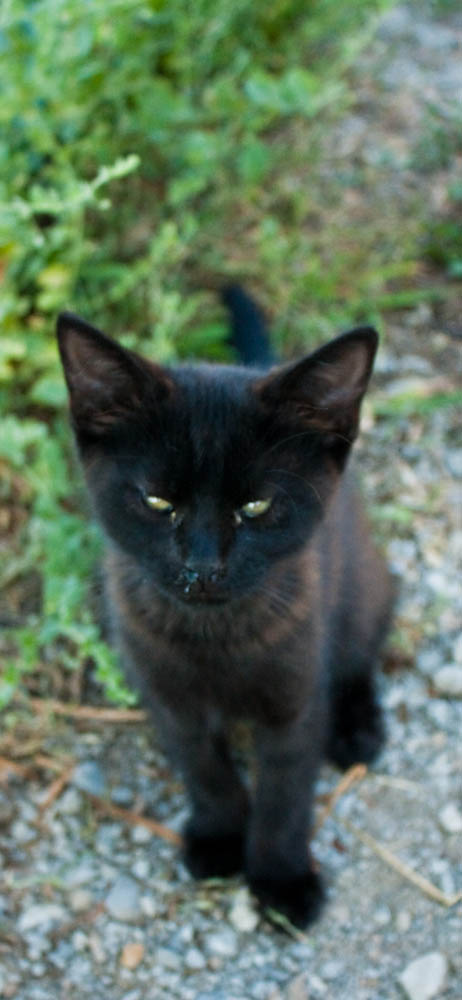 Photography - Stephanie Bibb