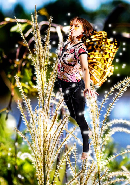 Color Imaging - Stephanie Bibb Color Imaging - Stephanie Bibb