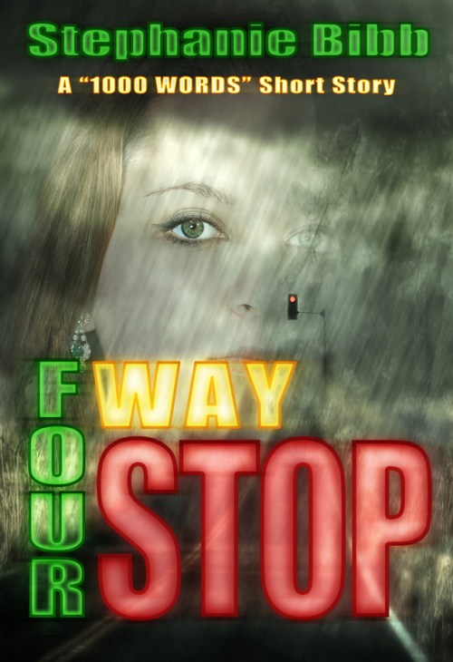 SBibb - Four-Way Stop Cover