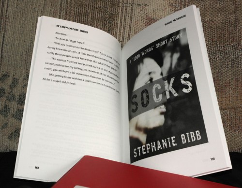 SBibb - "1000 Words" Printed Book