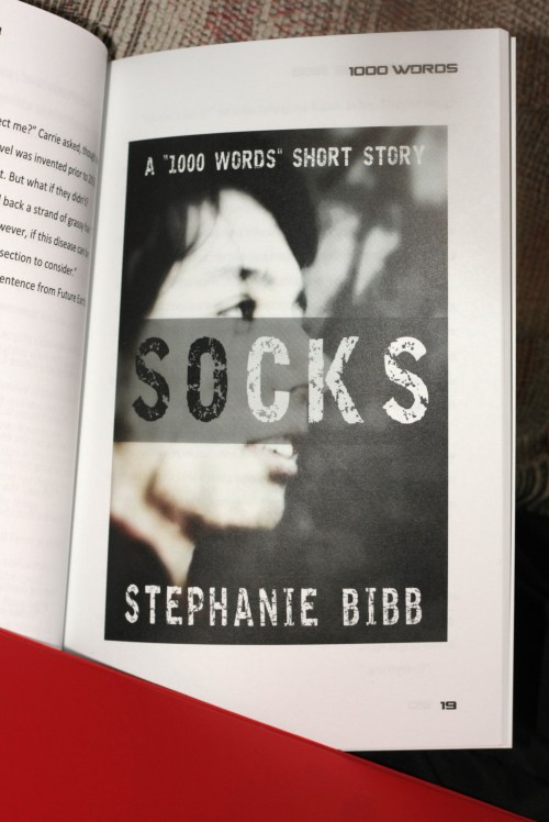 SBibb - "1000 Words" Printed Book