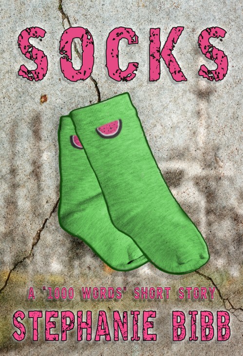 SBibb - Socks Cover In-Progress