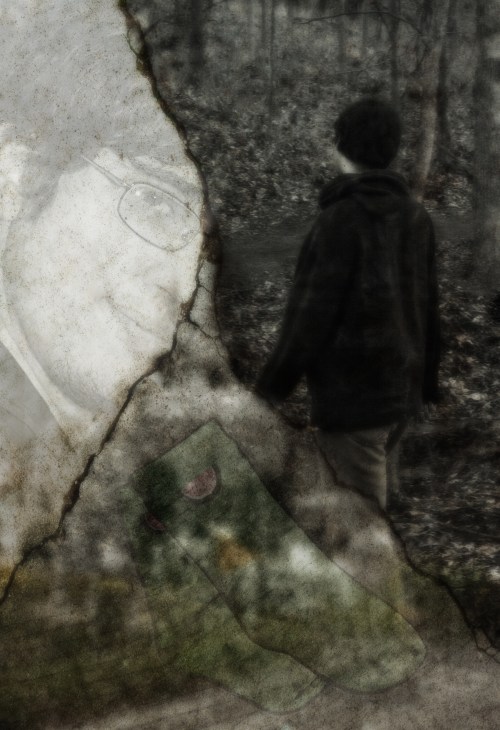 SBibb - Socks Cover In-Progress