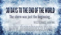 SBibb - 30 Days Business Card