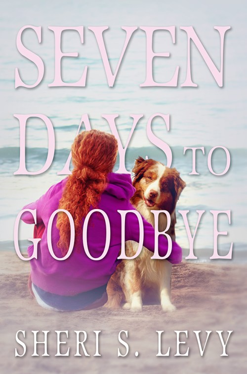 SBibb - Seven Days to Goodbye - Book Cover