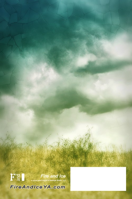 SBibb - The Doors - Back of Book Cover