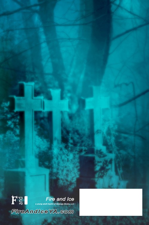 SBibb - The Curse of the Fairfield Witch - Back of Book Cover