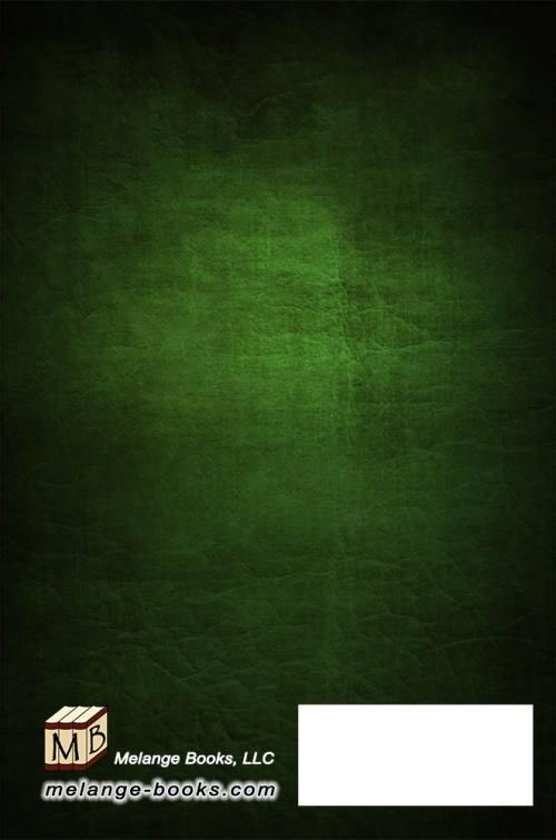 SBibb - Dusk Runner - Back of Book Cover