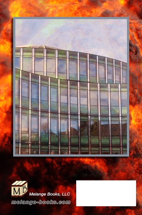 SBibb - Rogue - Back of Book Cover