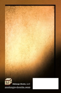 SBibb -One More Night - Book Cover Back