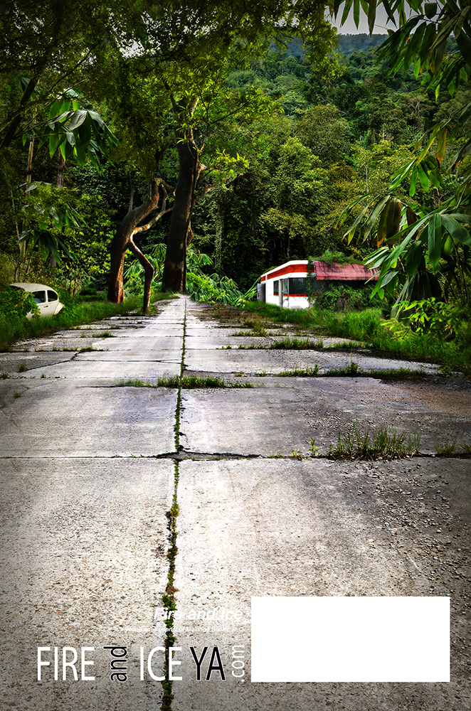 Behind the Scenes - Sojourn: The Beastlands Back of Book Cover