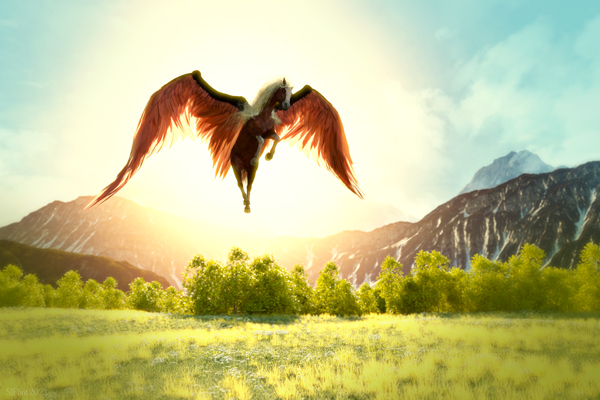A palomino, winged horses flies above a grassy plain, his wings highlighted by the sun and framed by distant snowy mountains.